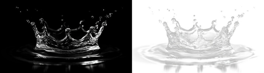 Water splash creates crown shape on a surface in black and white style with isolated on transparent and black background, light overlay, PNG © denzelll