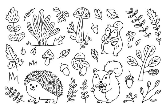 Woodland themed doodle set featuring cute squirrels, a hedgehog, mushrooms, acorns, and various forest plants on a clean white background