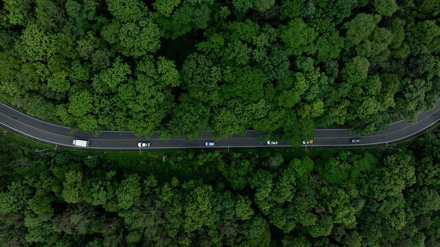 Aerial view mountain curve road in green forest, Mountain forest road surrounds natural forest, Winding road through lush green forest road tree.