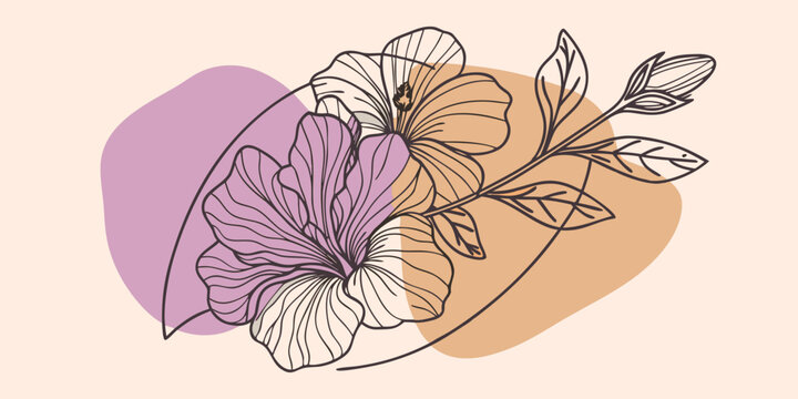 Minimalist line art hibiscus flower on abstract shapes with hibiscus botanical minimalist abstract illustration artistic creative decorative composition background stationary branding