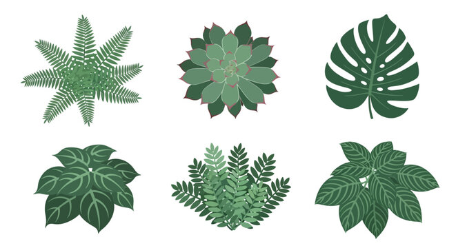 Top view of various green plants and leaves set.