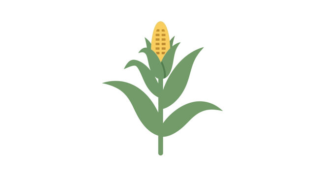 A simple flat vector illustration of a single corn stalk on a white background