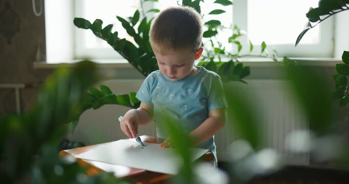 Creative small child drawing a picture on a sunny day indoors in slow mo