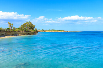 Fototapeta premium Idyllic south island coastline with clear turquoise waters and lush green vegetation