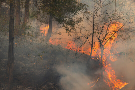El Ni&ntilde;o causes an increase in wildfires by driving hotter, drier weather.