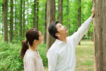 Fototapeta premium 森の大木の下で寄り添う40代夫婦