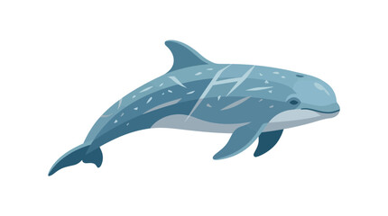 Risso's dolphin swimming in a clean minimalist design © nero