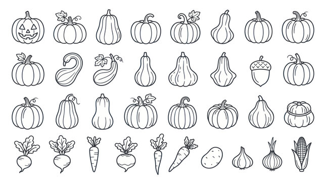 Vegetables and pumpkins line drawings.