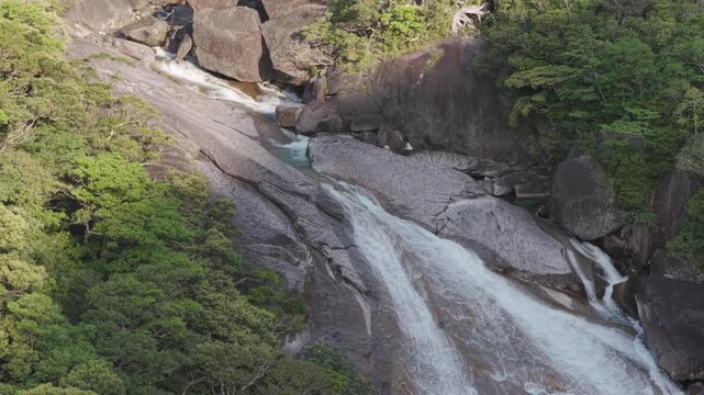 Mountain stream flows down rocky falls in forested mountain - Yakushima, Japan