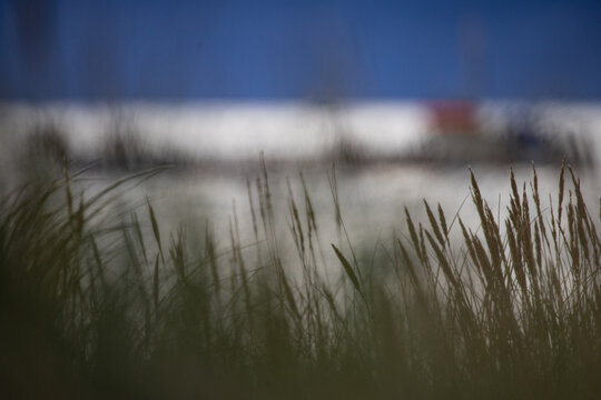 View of beach grass growing on sand dunes with the blurred coastline and a trailing suction hopper dredge operating at sea near the coast, with dark clouds in the background in Vejlby, Denmark.