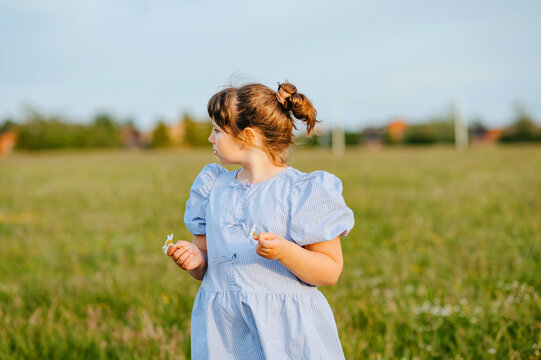 Child girl holding daisy flowers while standing in field