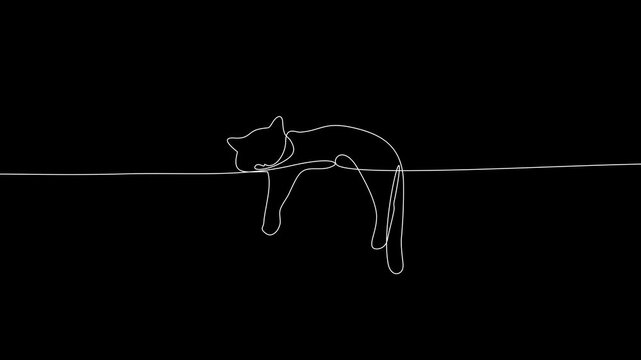 Relaxed Cat One Line Drawing Video Animation in Black