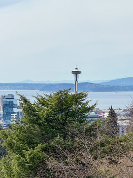 Space Needle from Volunteer Park