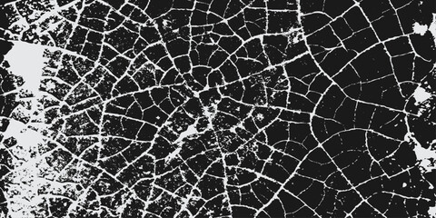 Naklejka premium Seamless Black and White Cracked Spider Web Texture Pattern Abstract Grunge Geometric Stone Surface Background Wallpaper Vector Illustration