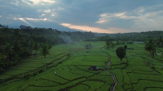 Aerial view of Taba Tembilang rice fields with lush green paddies, palm trees, and an irrigation channel under a soft morning sky in Arga Makmur, Bengkulu, Indonesia.