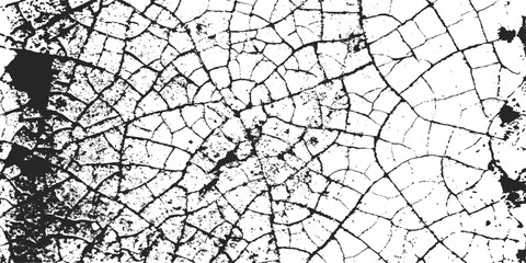 Obraz premium Spider Web with Dew Drops on Window Creating Abstract Natural Texture Pattern Against Weathered Rough Surface Background