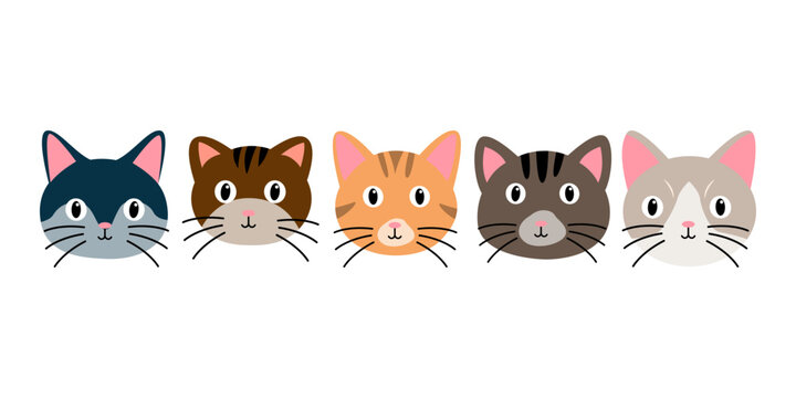 Cute Face Cat Head