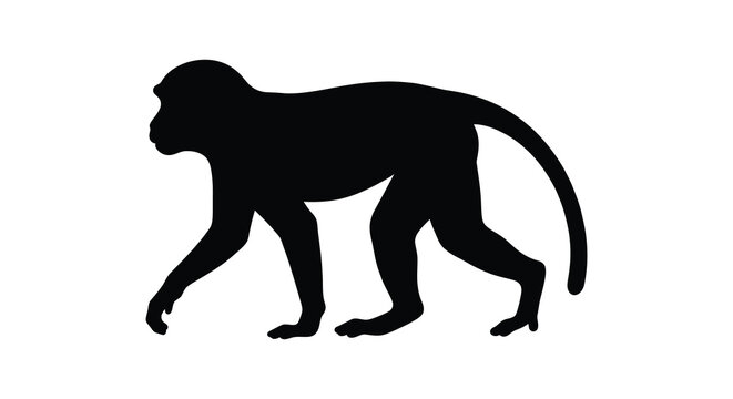 A black silhouette of a monkey walking on all fours against a white background silhouette primate mammal animal
