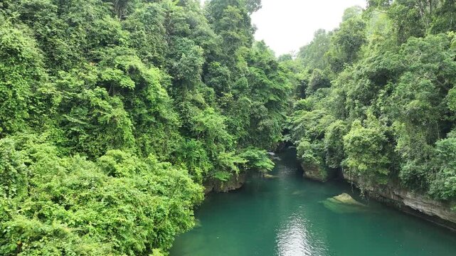 Aerial view of a lush green river canyon with dense tropical vegetation and rocky banks flowing through the landscape of Pangandaran Regency, West Java, Indonesia.
