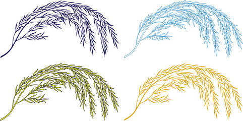 Decorative reed grass vector illustration set, four colorful pampas grass elements, natural plant design for botanical themes, elegant floral graphic resources isolated on White Background © Syed Awais