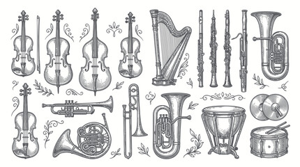 Classical orchestra musical instruments collection © tira
