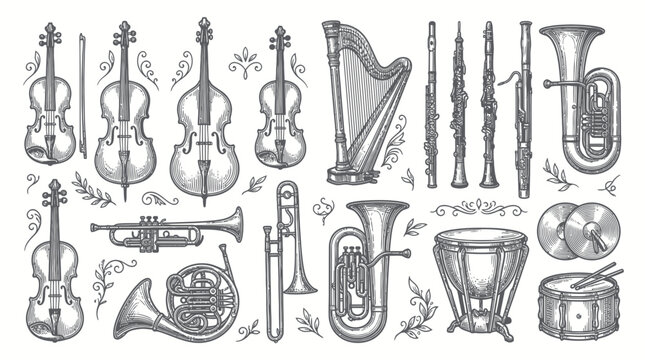 Classical orchestra musical instruments collection