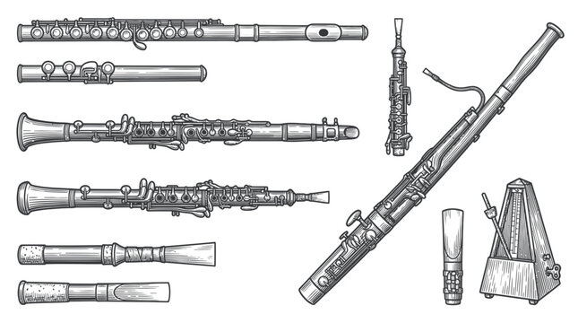 Classical woodwind musical instruments collection