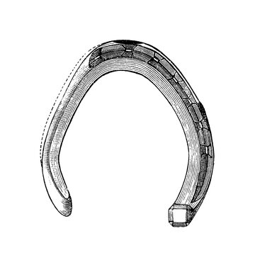 Forge-deformed toe of a horseshoe with rectangular nail holes, traditional curved design, intricate markings, old vintage illustration, 1897.