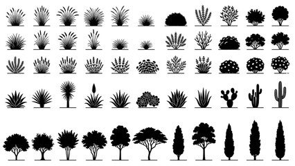 Fototapeta premium Hand Drawn Landscape Planting Elevation Symbols with Trees Shrubs and Succulents