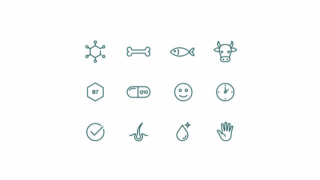 Set of twelve minimalist icons including molecule, bone, fish, cow, vitamin, pill, smiley face, clock, checkmark, hair, drop, and hand . Vector flat illustration on a white background.