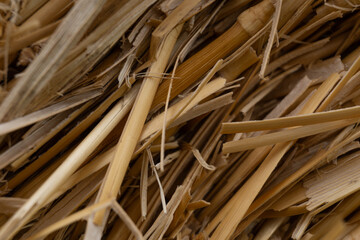 dry grass texture © Hamar Photohraphy