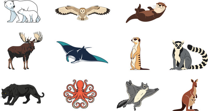 Set of diverse wild animal illustrations featuring polar bears owl otter moose stingray meerkat lemur panther octopus flying squirrel and kangaroo
