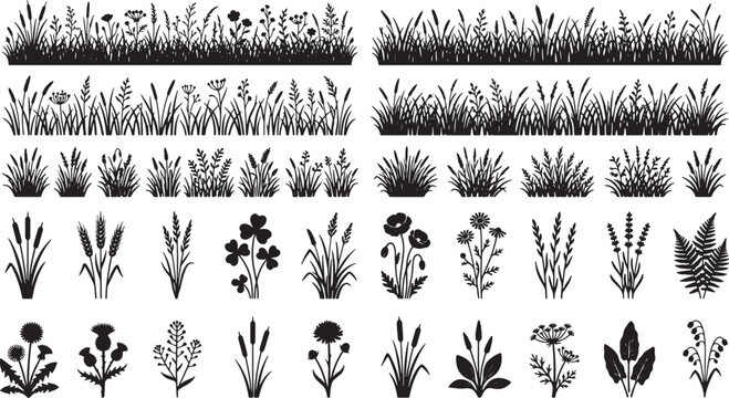 Wild grass and meadow flower silhouettes set for nature design elements isolated on white background vector illustration