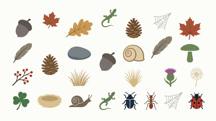 Autumn forest nature icons set, flat vector woodland elements with leaves and insects, rustic botanical collection for seasonal design © zee