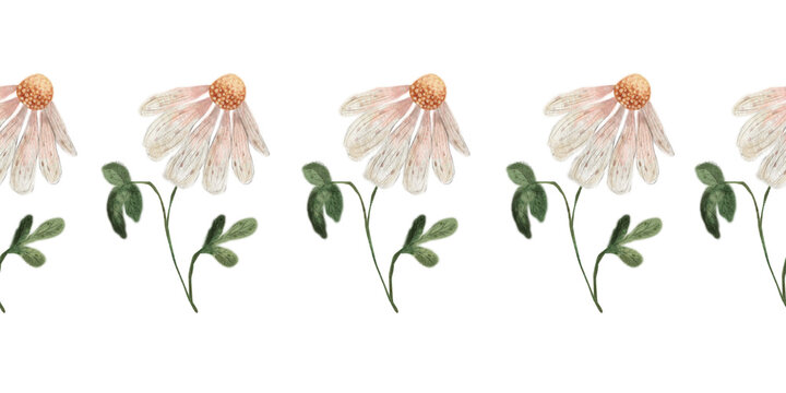 Seamless watercolor daisy flower border print for rustic wedding polygraphy