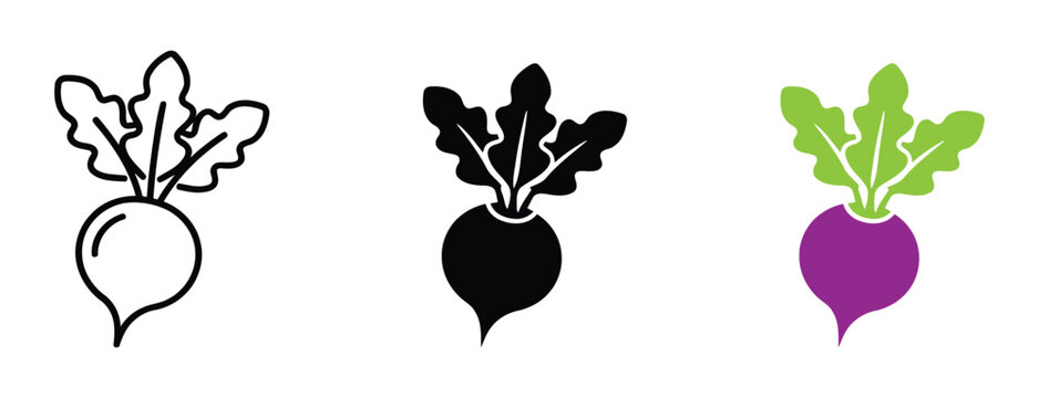 Fresh red beet vegetable vector set - Glyph solid icon - Editable modern style icon. Ripe beetroot pair with leaves illustration. Hand drawn purple beet root vegetable vector icon with text.