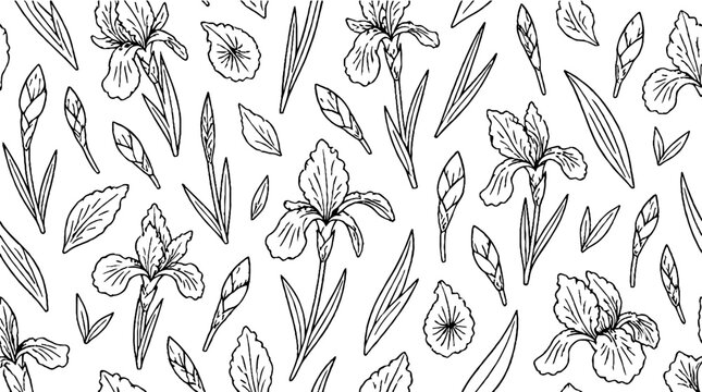 Elegant iris flowers and leaves line art illustration.
