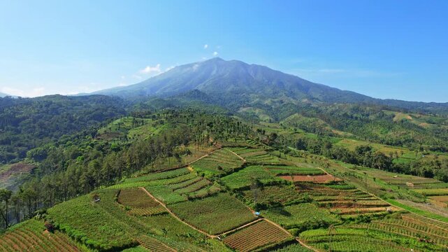 Aerial drone footage of Kawi volcano mountain, from Selorejo water reservoir area, Ngantang area, Malang recency, Java island, Indonesia, with many agricultural fields, sunny weather