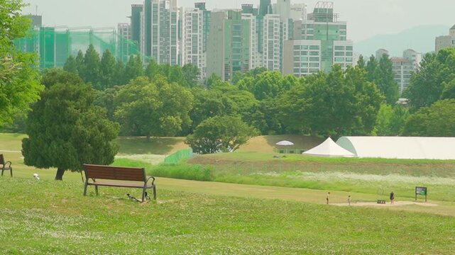 Empty Wooden Bench on Green Lawn in City Park