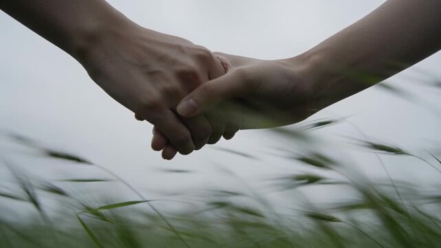 Reaching pair of bare forearms interlocking fingers in grassy meadow, swaying grass showing support