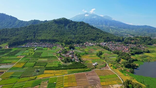 Aerial drone footage of Selorejo rice field valley with the water reservoir, Ngantang area, Malang recency, Java island, Indonesia, with small villages in the front, and Kawi volcano mountain behind