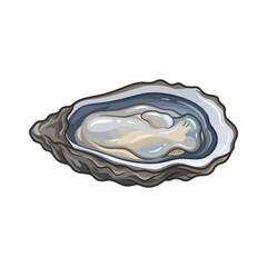 Oyster Shell Seafood © EasyDesign