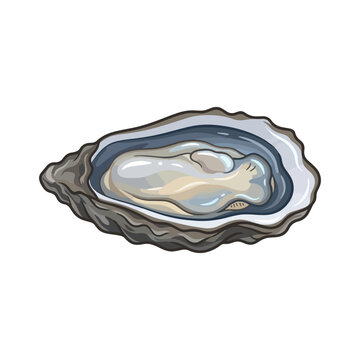 Oyster Shell Seafood
