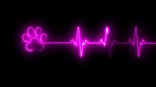 glowing neon Dog Paw Print Heartbeat Line icon Veterinary Healthcare ECG. Heartbeat icon with Paw Print Symbolizing Animal Health and Care. representing dedication in veterinary care and commitment.