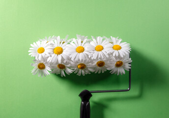 Fototapeta premium Paint roller with fresh Daisy flowers on green background