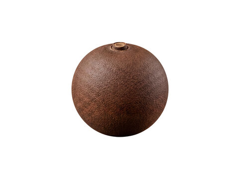 A single dark brown sapote fruit with subtly textured skin, captured in a detailed close-up.