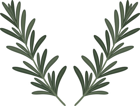 A simple black silhouette illustration of two rosemary herb branches arranged in a symmetrical v shape for culinary and decorative design projects