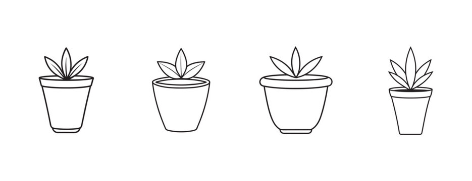 potted plants in different pots with leaves on transparent background for decoration  indoor plants