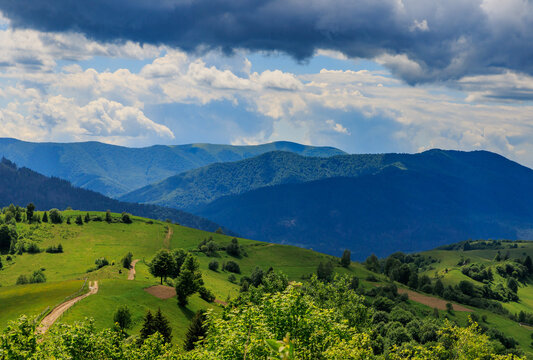 Winding dirt road through green Carpathian hills after a summer thunderstorm