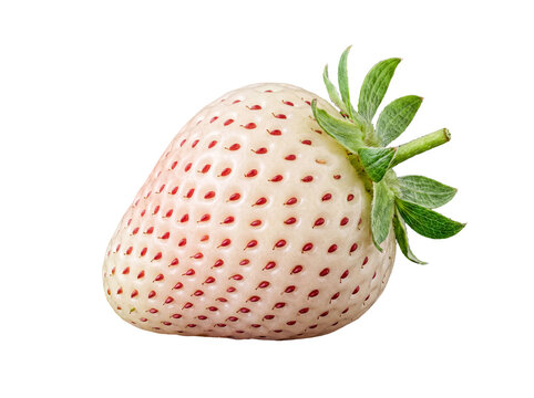 Single ripe pineberry fruit, a unique white strawberry with distinctive red seeds and green stem.
